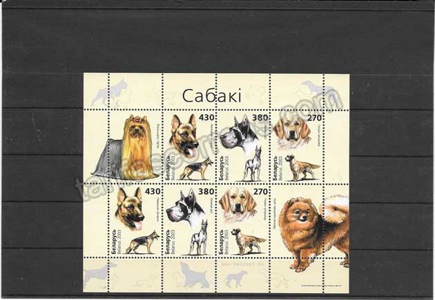 comprar Estampillas mini pliego de perros Bielorrusia 2003