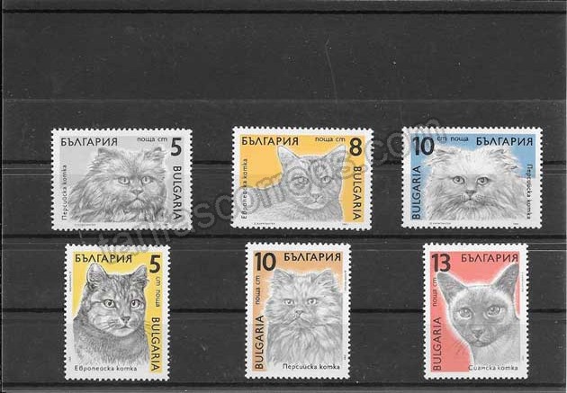 enviar paquetes desde - valor sellos filatelia serie razas de gatos de Bulgaria
