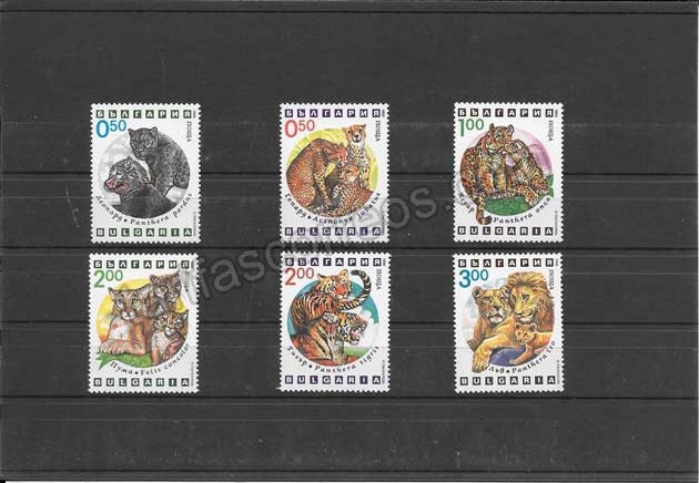  Colección sellos Bulgaria de fauna - felinos