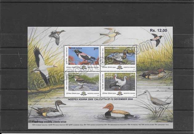 enviar paquetes desde - valor sellos Fauna diversa India-2000-03