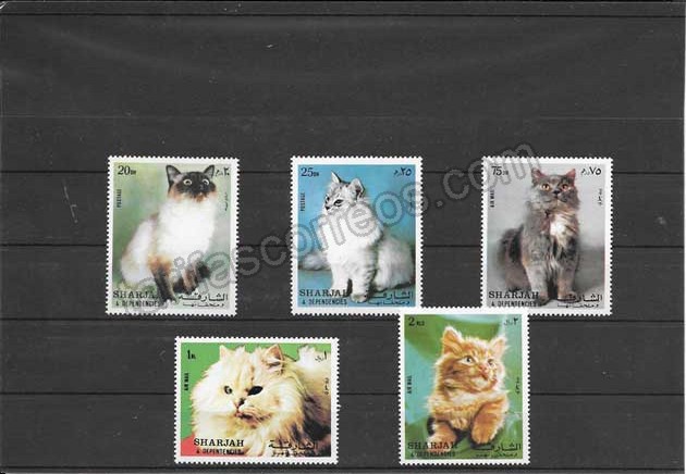 Filatelia sellos serie fauna gatos Sharjar