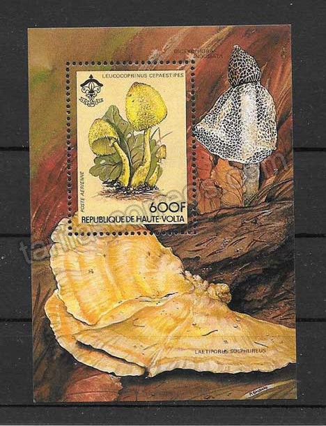 valor y precio Colección sellos hojita de hongo del país