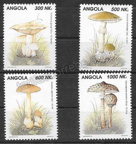 angola-1993-01