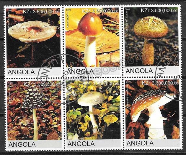Filatelia setas Angola 2000