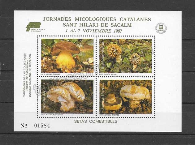 enviar paquetes desde - valor sellos Barcelona-1987-01