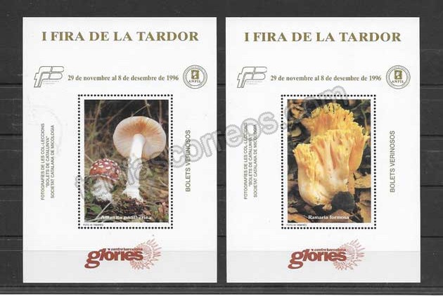 enviar paquetes desde - valor sellos Barcelona-1996-01.