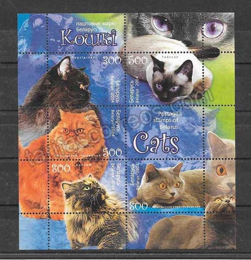 Filatelia sellos gatos diversos Bielorrusia-2004-01