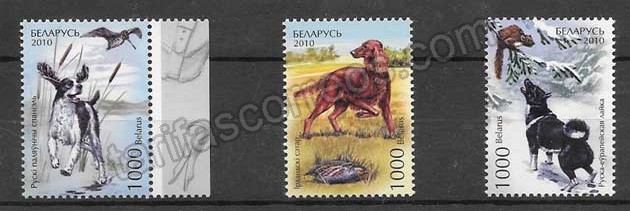 Filatelia sellos fauna perros de caza Bielorrusia