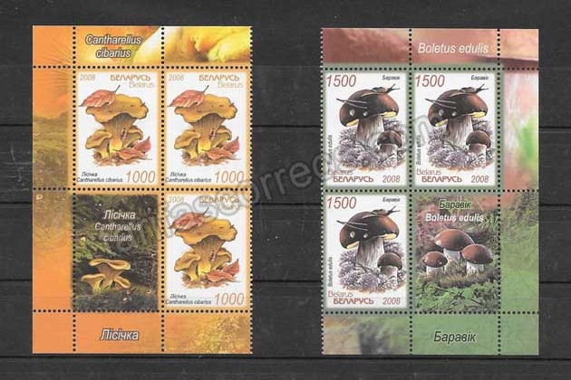 valor y precio Colección sellos serie con viñeta de hongos Bielorrusia