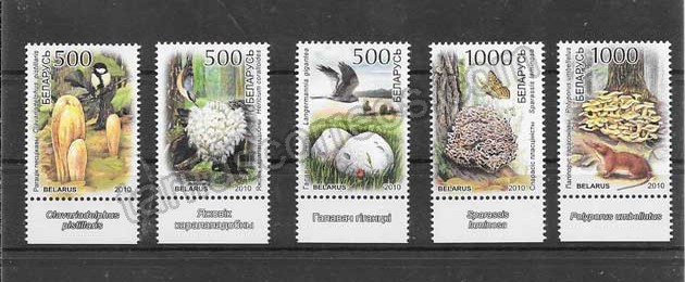 valor y precio Colección sellos diversidad de setas de bielorrusia