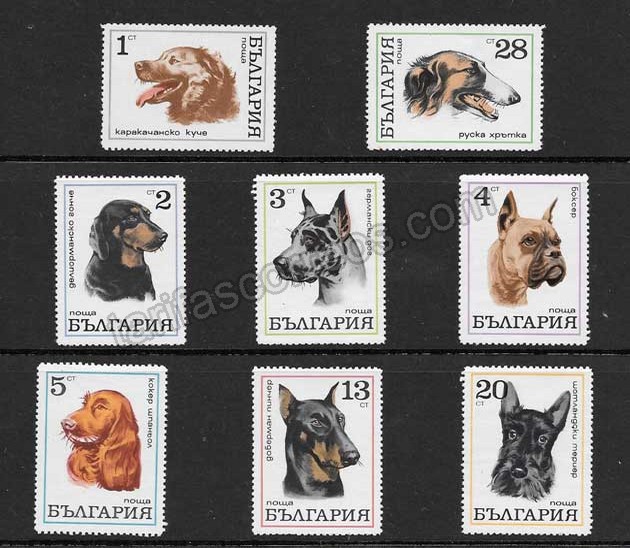 Filatelia sellos diversidad perros Bulgaria-1970-01