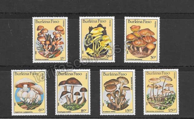 enviar paquetes desde - valor sellos serie de flora - hongos