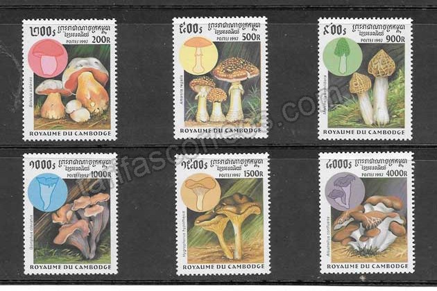 valor y precio Colección sellos Camboya-2001-01