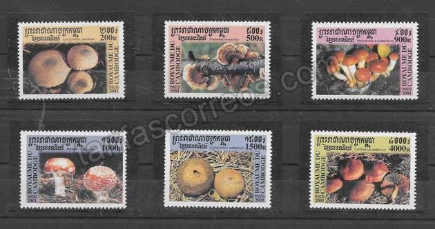 valor y precio Colección sellos serie del tema hongos