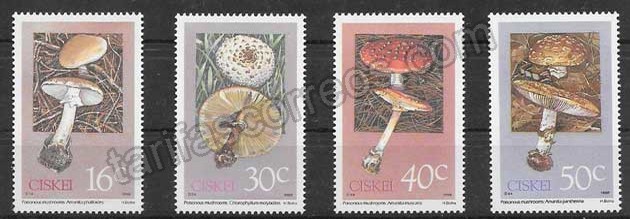 enviar paquetes desde - valor sellos Hongos diversos de Ciskei