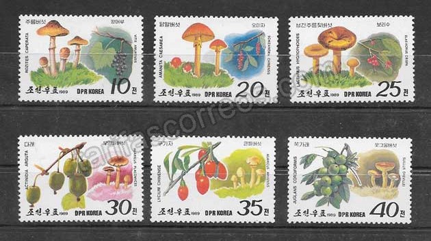 Filatelia sellos tema de flora - hongos