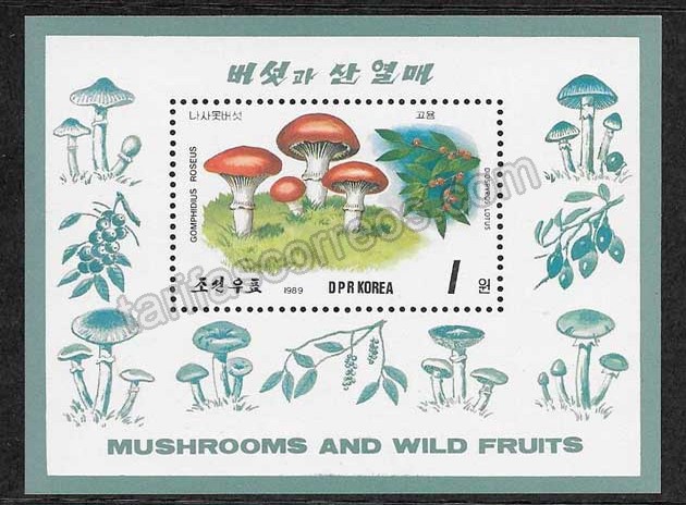 Filatelia sellos Corea del Norte-1989-02
