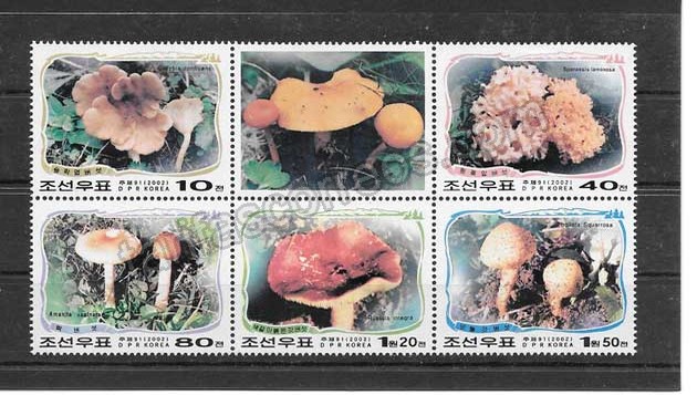 Filatelia sellos hongos representativos del 2002