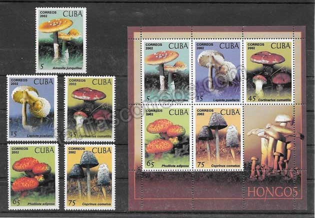enviar paquetes desde - valor sellos filatelia diversidad de setas cubanas