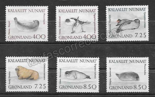  sellos fauna marina Groenlandia
