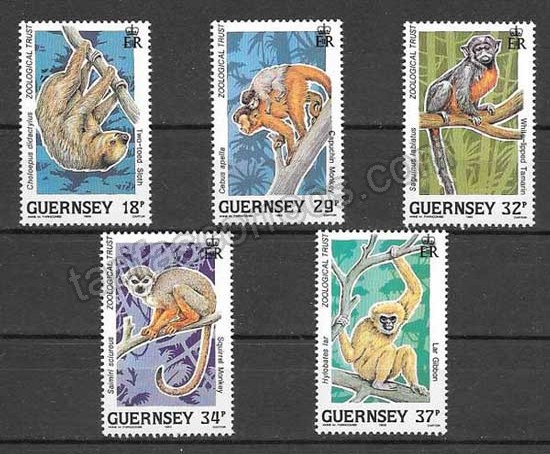 enviar paquetes desde - valor sellos monos de Guernsey en peligro extinción. 1989