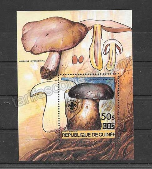 Filatelia sellos Guinea-1995-01