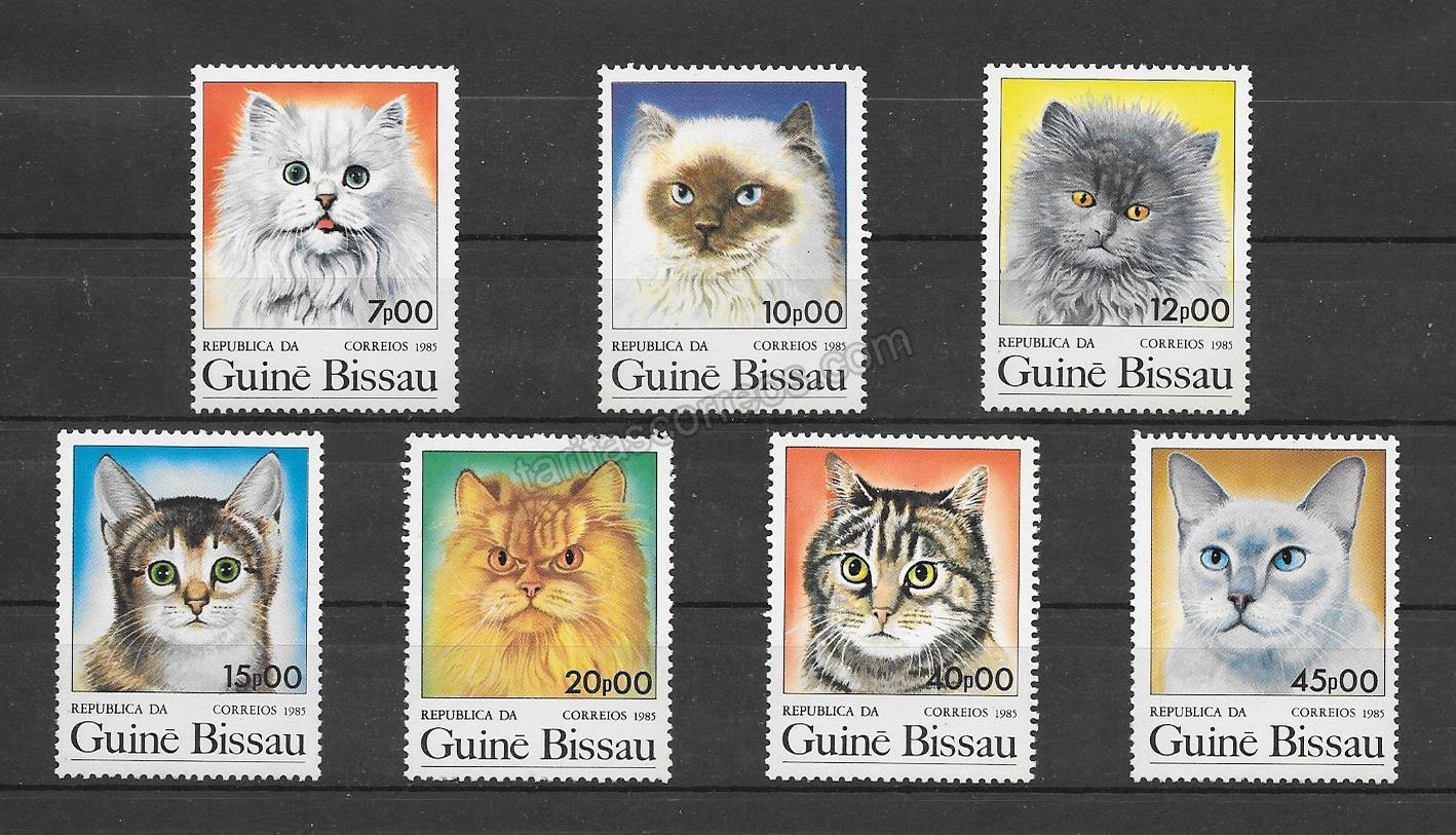 Filatelia sellos razas de gatos de Guinea Bissau
