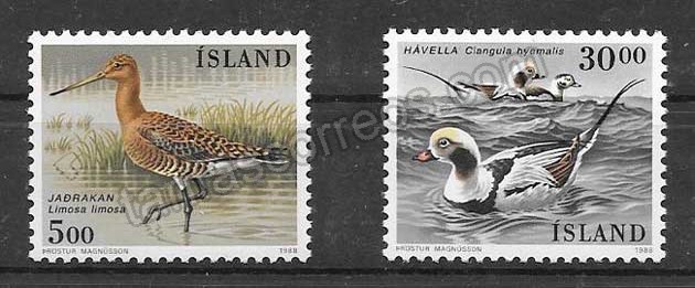 enviar paquetes desde - valor sellos filatelia Islandia Fauna - aves 1988
