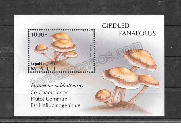 Filatelia sellos de hongos Mali-1997-02