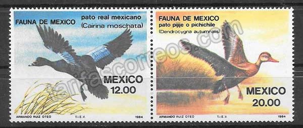 enviar paquetes desde - valor sellos fauna México 1984