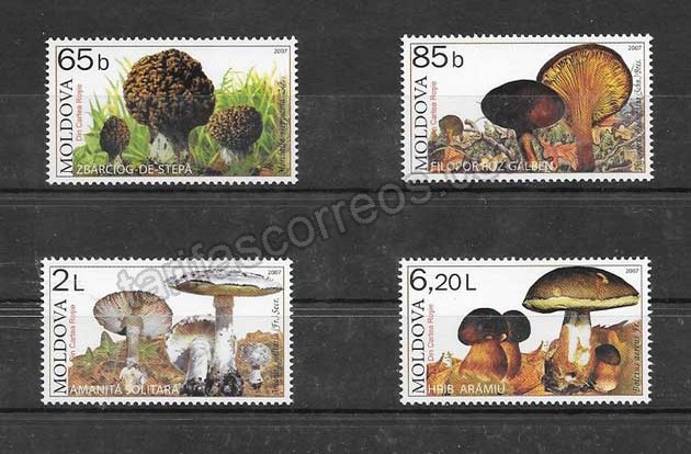 enviar paquetes desde - valor sellos serie de flora - setas de Moldavia 