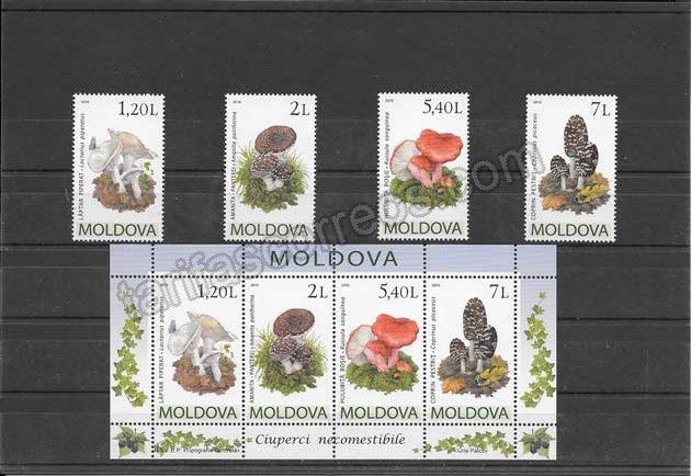 enviar paquetes desde - valor sellos tema de flora - hongos de Moldavia