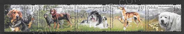 Estampilla tema fauna perros diversos Polonia-2006-01