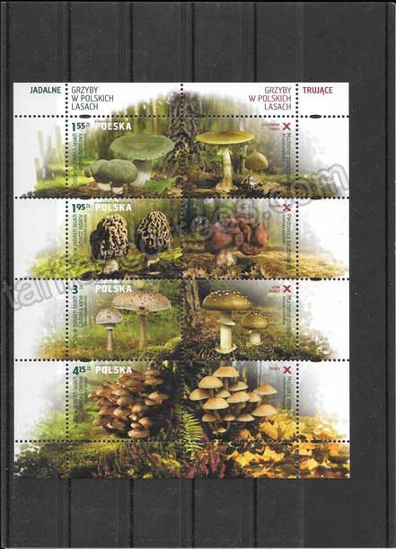enviar paquetes desde - valor sellos  filatelia tema  de flora - setas Polonia