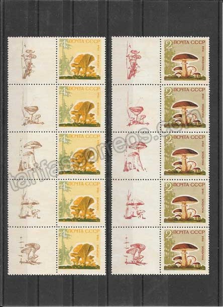 valor y precio Colección sellos series del tema hongos Rusia