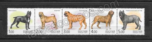 enviar paquetes desde - valor sellos perros de razas  Rusia 2002
