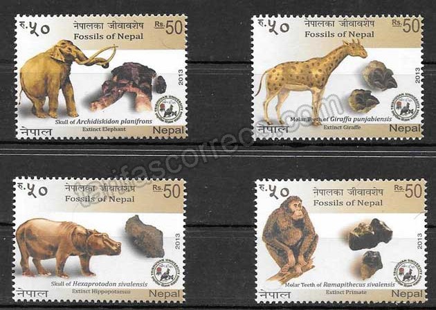 valor y precio Colección sellos animales prehistóricos Nepal 2013